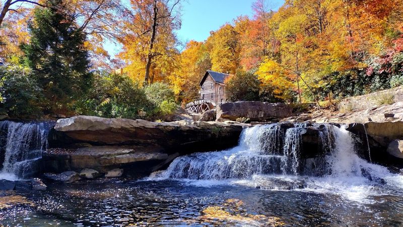 What Fall Foliage Actually Looks Like Here