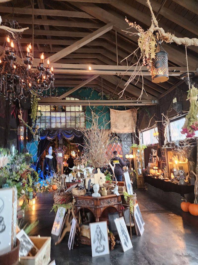 What Makes Black Veil the Standout Shop in Salem