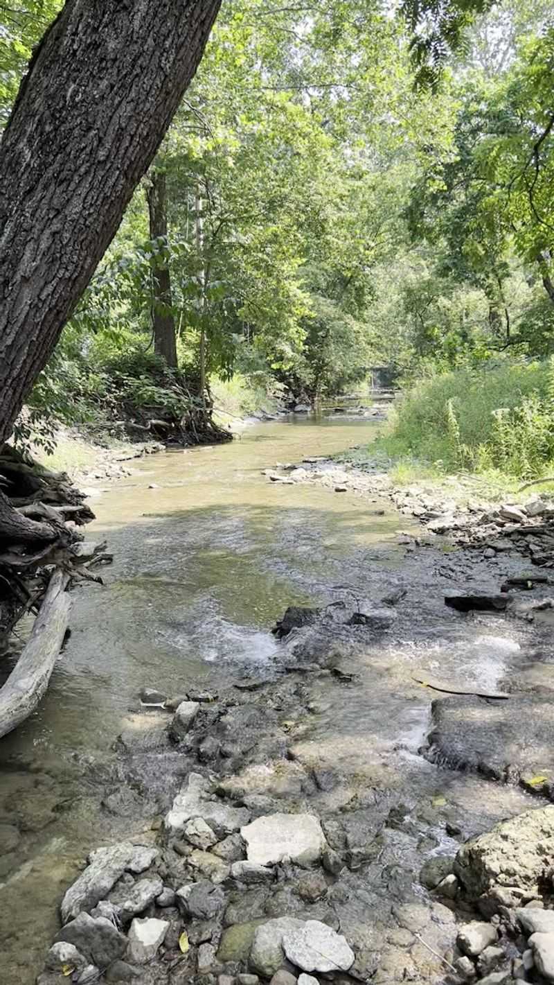 What Makes Richmond Worth the Drive What Makes Richmond Worth the Drive
