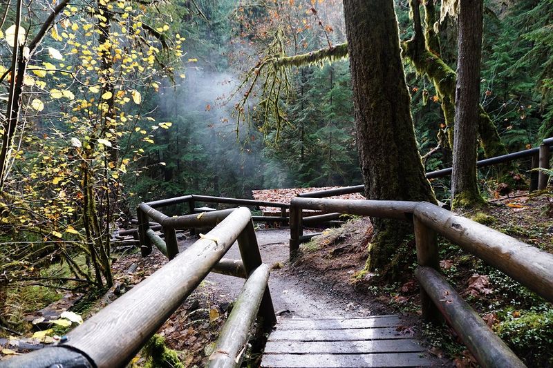 What Makes Terwilliger Stand Out Among Oregon Hot Springs What Makes Terwilliger Stand Out Among Oregon Hot Springs