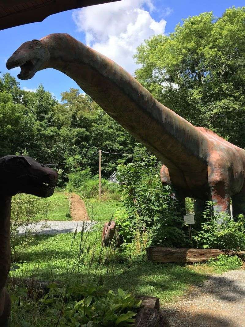 What Makes This Better Than a Museum