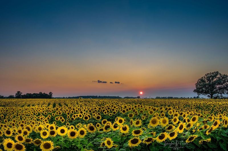 What Makes This Farm So Special What Makes This Farm So Special