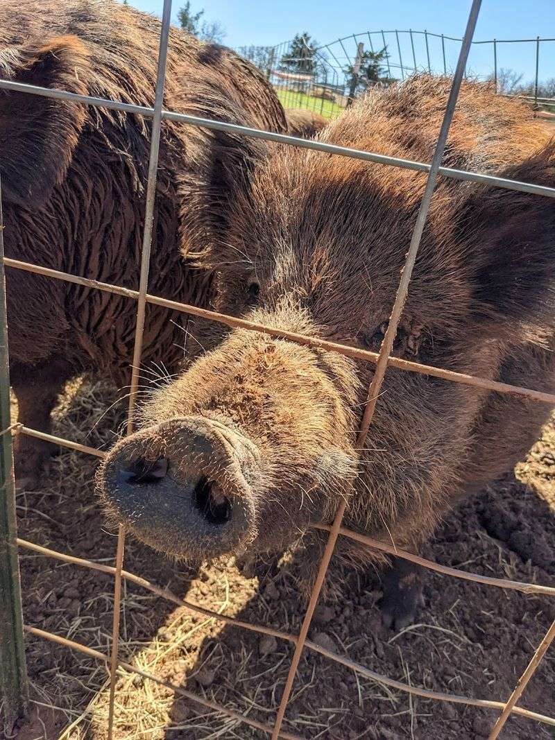 What Makes This Place Different From a Zoo or Petting Farm