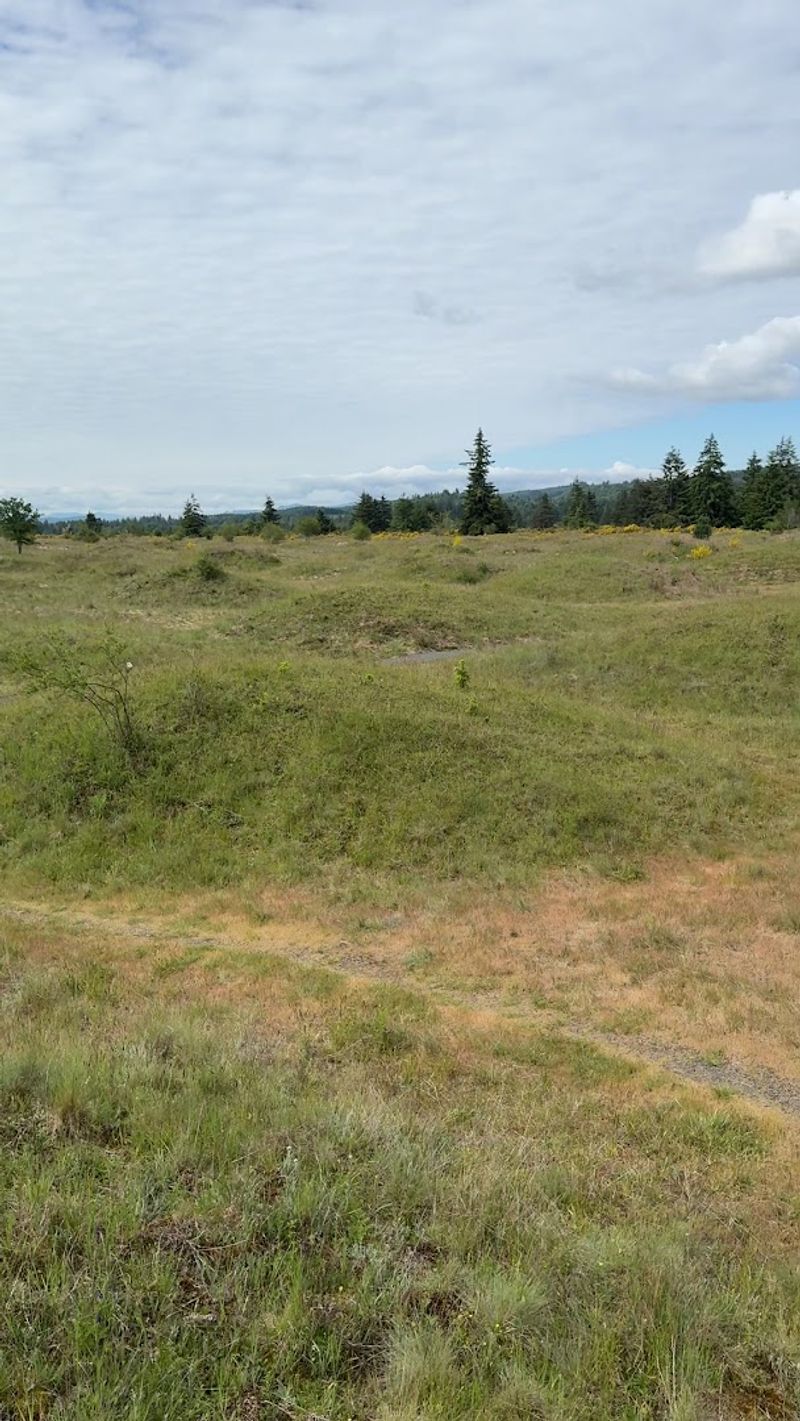 What Makes This Prairie Rare in the Pacific Northwest