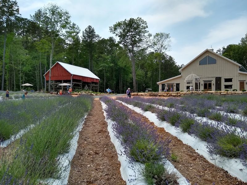 What Makes This Venue Stand Out Among Triangle-Area Options What Makes This Venue Stand Out Among Triangle-Area Options