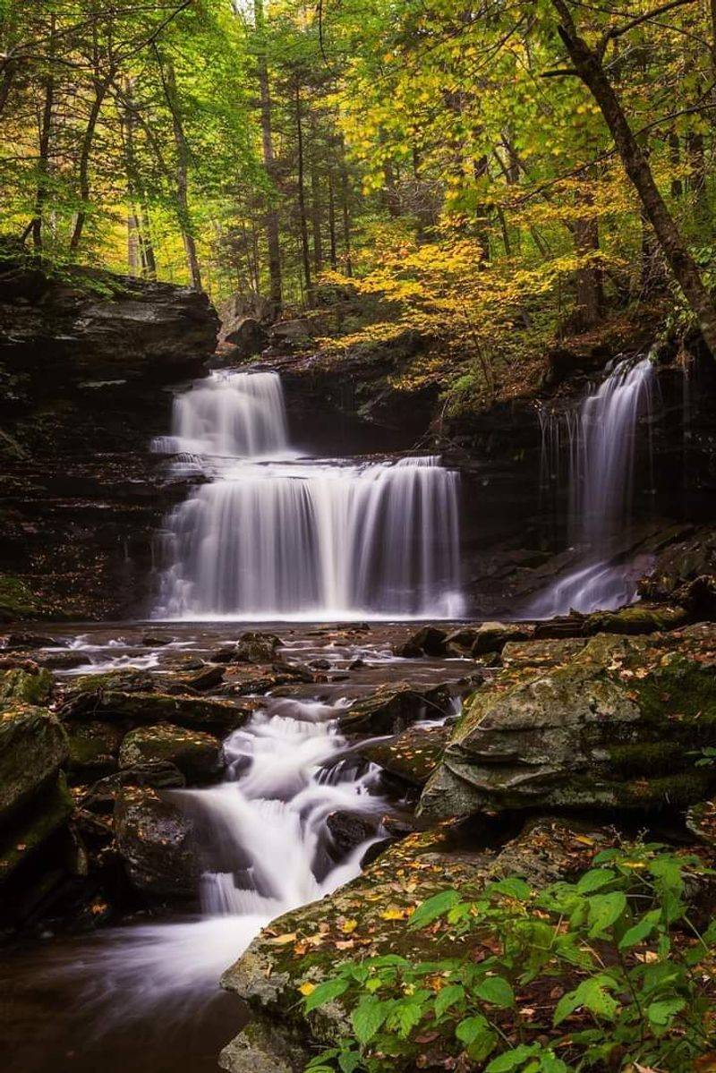 What Makes the Falls Trail Truly Unforgettable