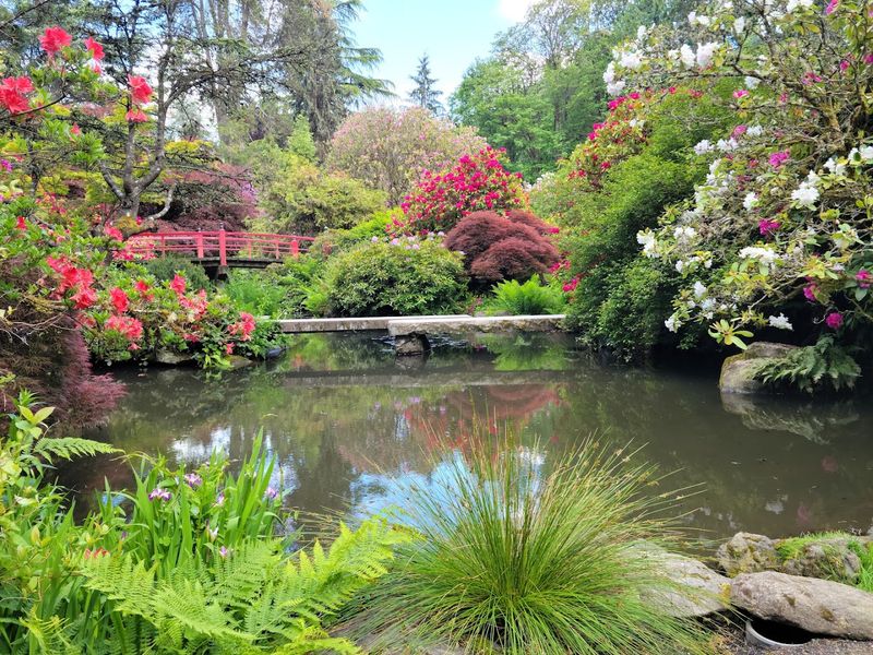 What Spring Brings to the Garden