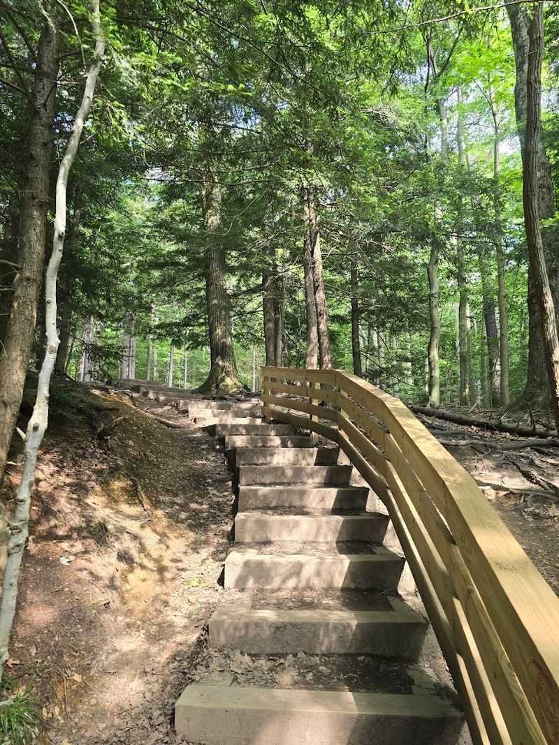 What The Trail Actually Looks Like