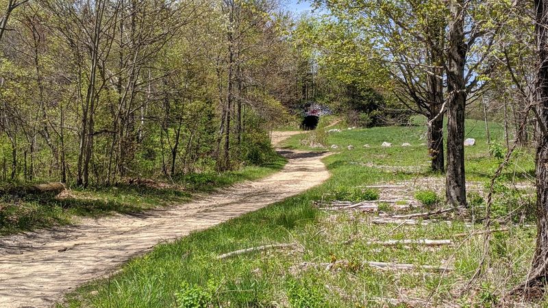 What The Trail Experience Actually Feels Like What The Trail Experience Actually Feels Like