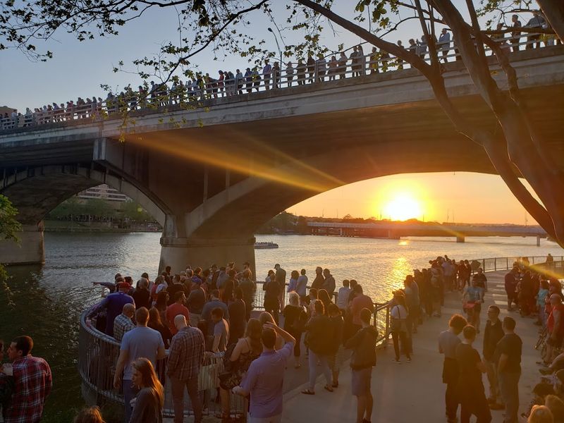 What Time of Evening the Bats Come Out What Time of Evening the Bats Come Out