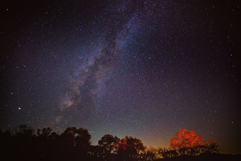 What You Can Actually See on a Clear Night