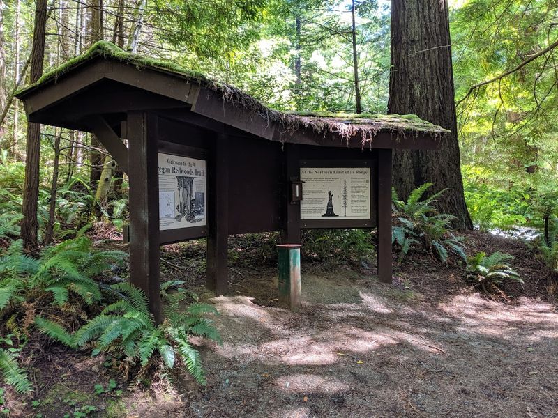 What You Will Find at the Trailhead