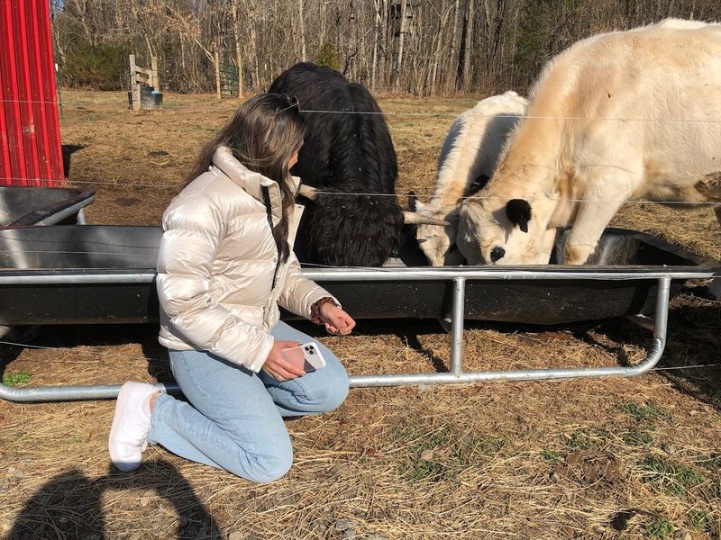 What a Farm Tour Actually Looks Like What a Farm Tour Actually Looks Like