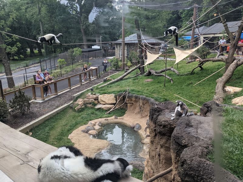 What a New Multi-Species Habitat Means for the Zoo's Future What a New Multi-Species Habitat Means for the Zoo's Future