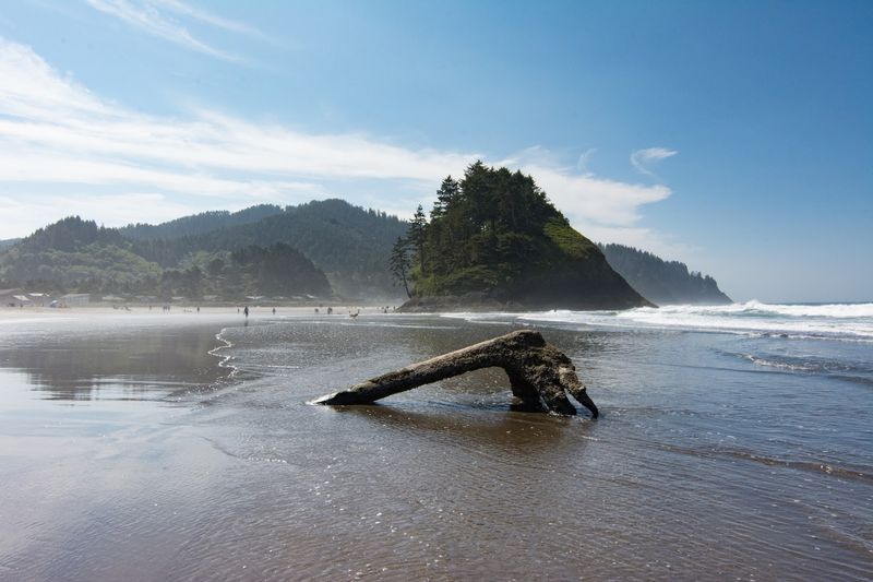 What the Beach Itself Feels Like What the Beach Itself Feels Like