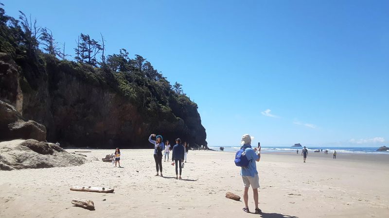 What the Beach Itself Looks and Feels Like