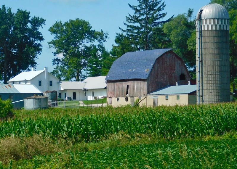 What the Farms Actually Look Like Up Close What the Farms Actually Look Like Up Close