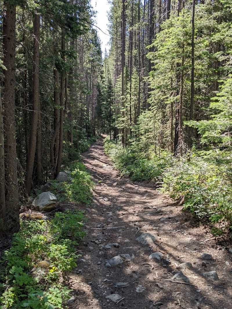 What the Forest Trail Looks Like Beyond the Waterfall