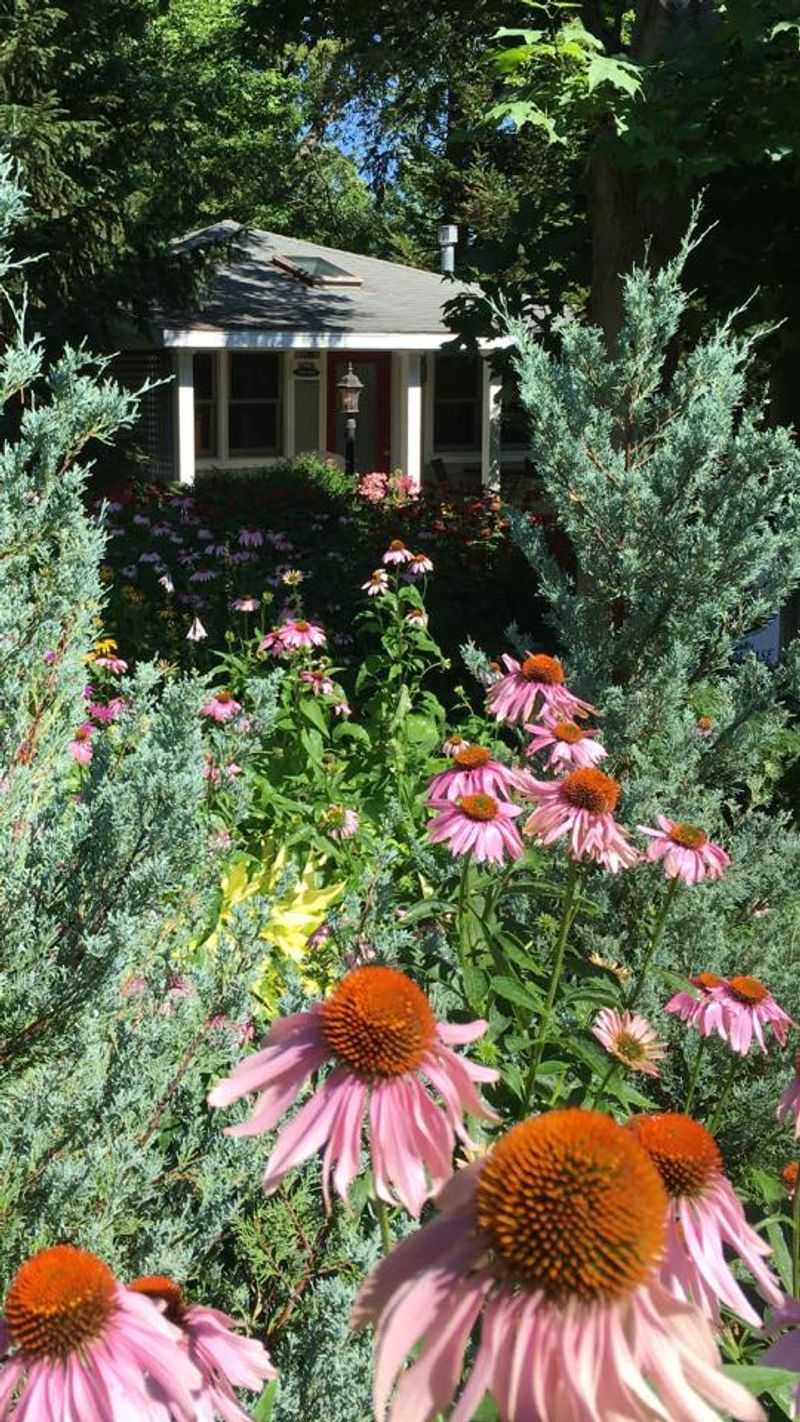 What the Gardens Actually Look Like What the Gardens Actually Look Like