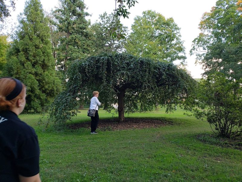 What the Park Asks You to Leave Behind What the Park Asks You to Leave Behind