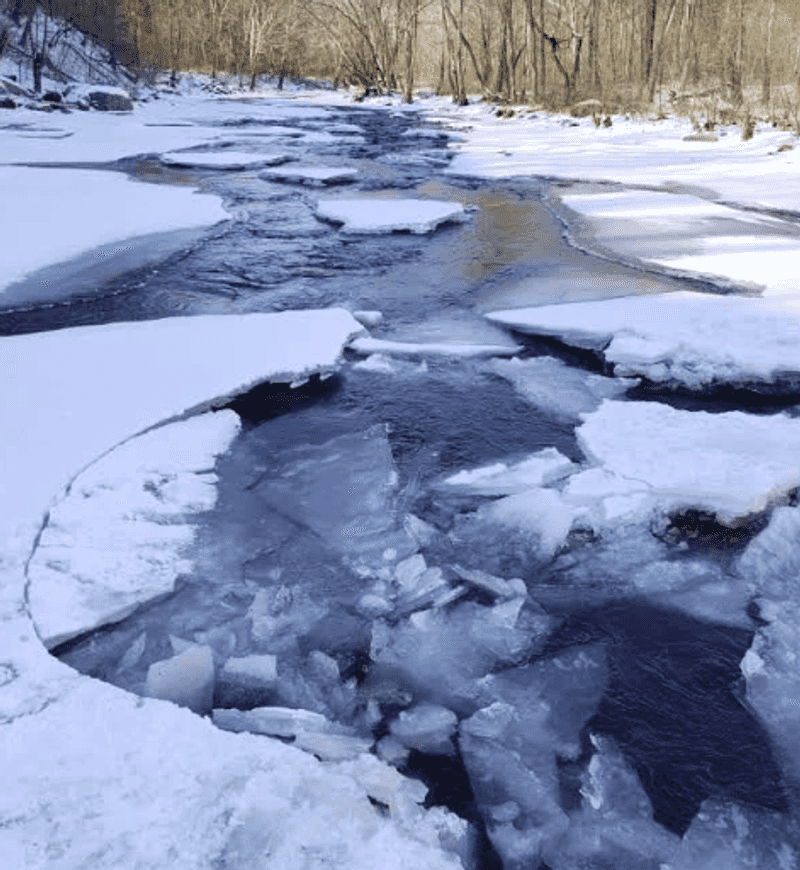 What the Park Looks Like in Each Season