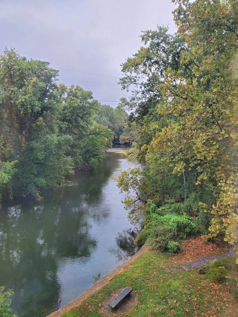 What the River Sees: Views That Rival the Art