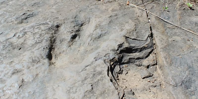 What the Rock Surface Actually Looks Like Up Close What the Rock Surface Actually Looks Like Up Close