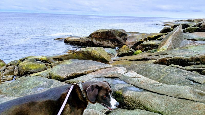 What the Surrounding Area of Rockport Offers