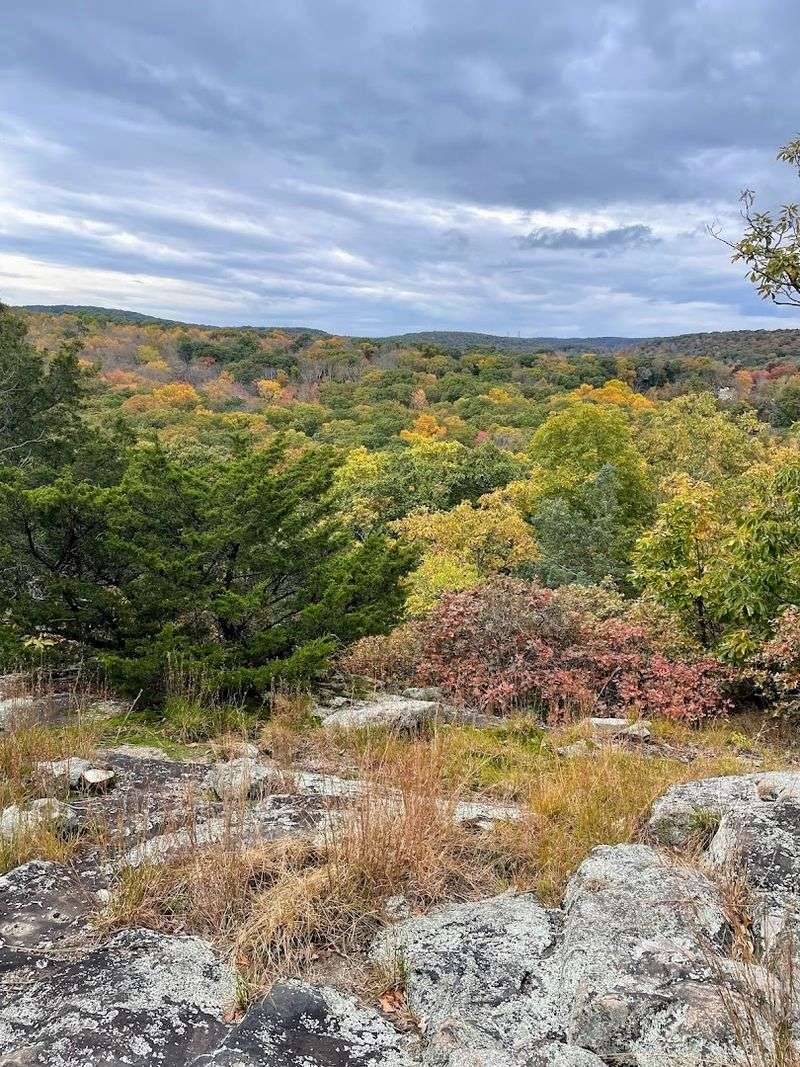 What the Terrain Actually Looks Like