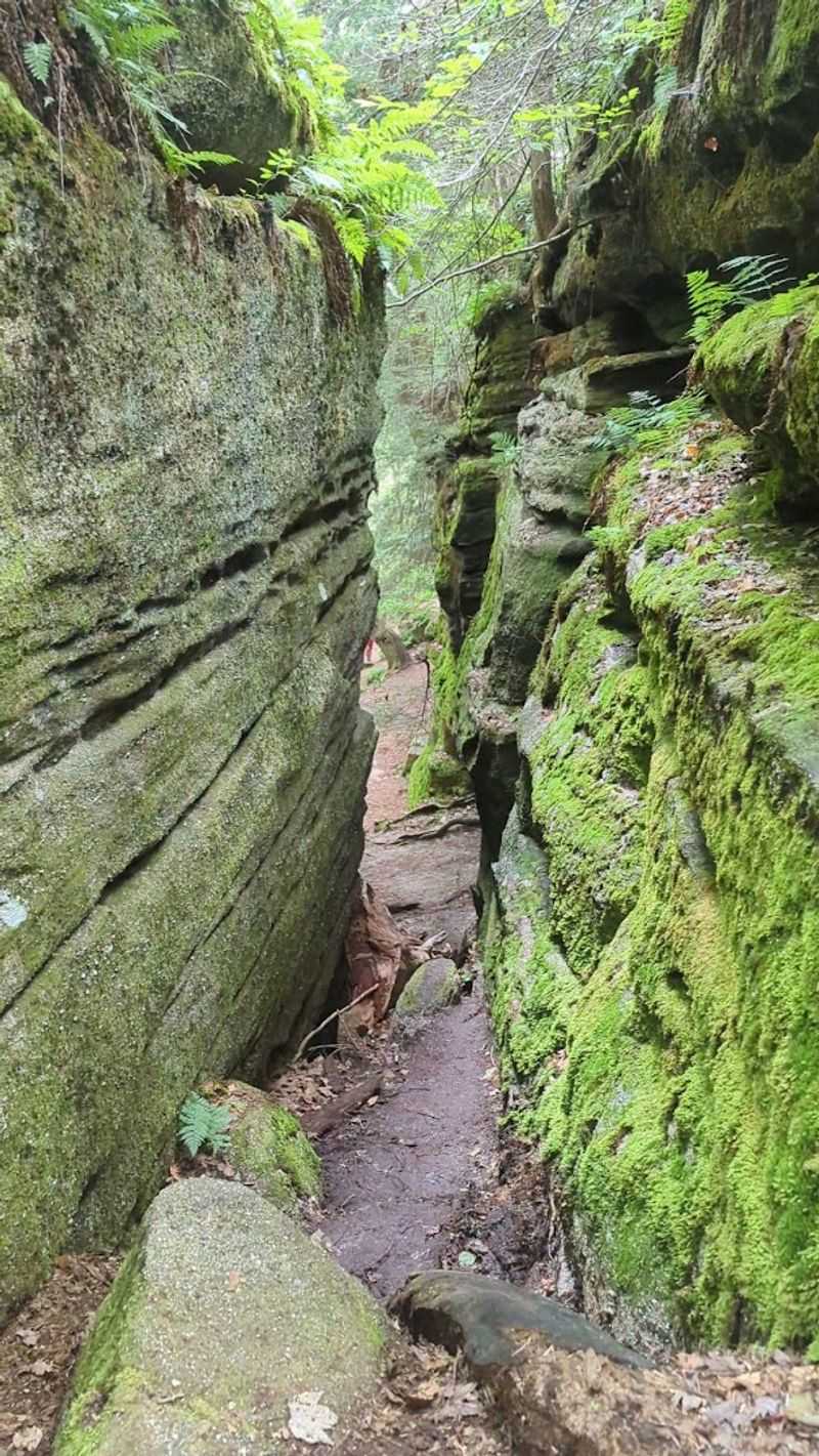 What the Trail Actually Looks Like