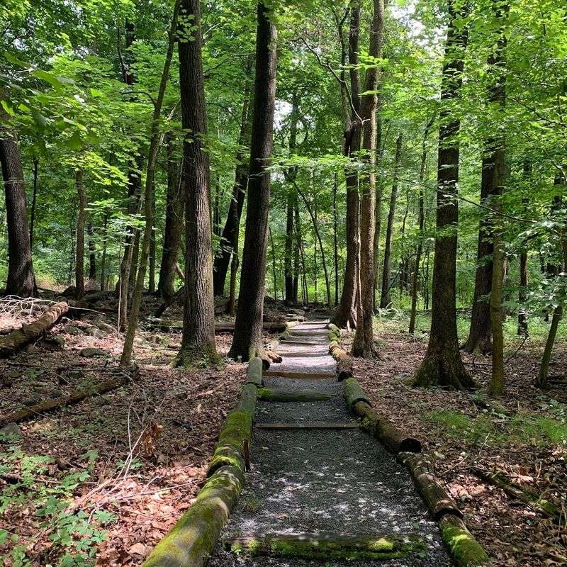 What the Trails Are Actually Like What the Trails Are Actually Like