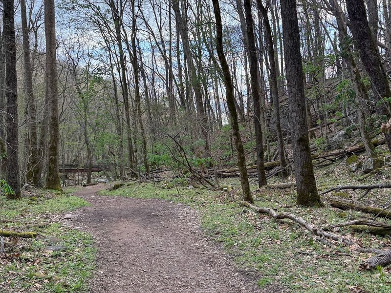 What the Upper Trail Offers Instead