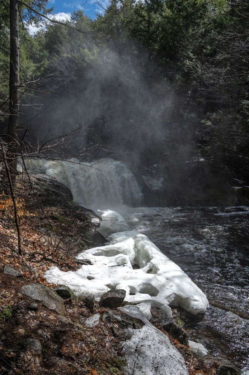 What the Water Actually Does Year-Round What the Water Actually Does Year-Round