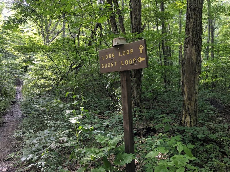 What the Wayne National Forest Trails Are Really Like