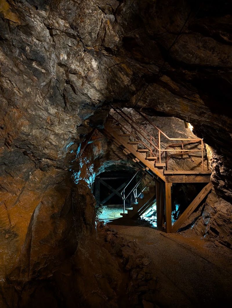 What to Expect Inside the Tunnels What to Expect Inside the Tunnels