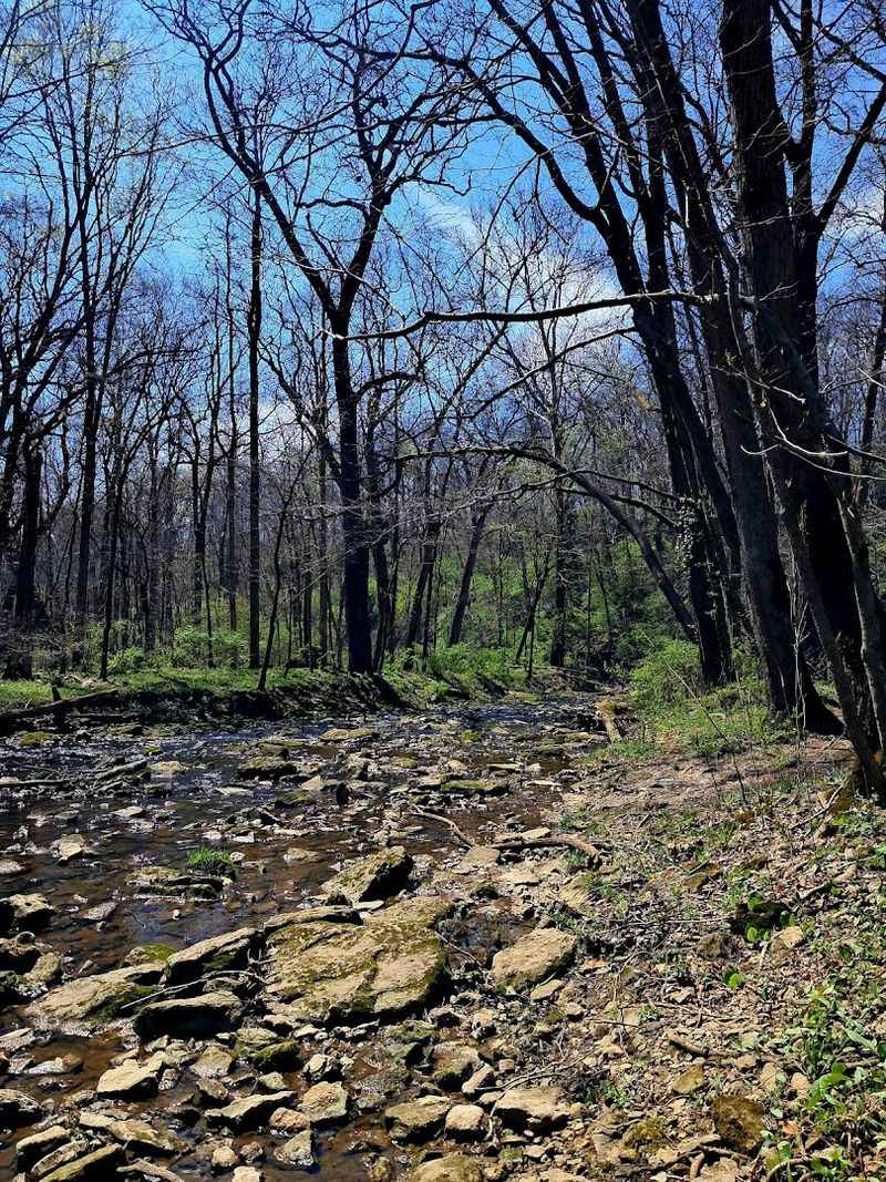 What to Expect on the Trail: Difficulty and Terrain