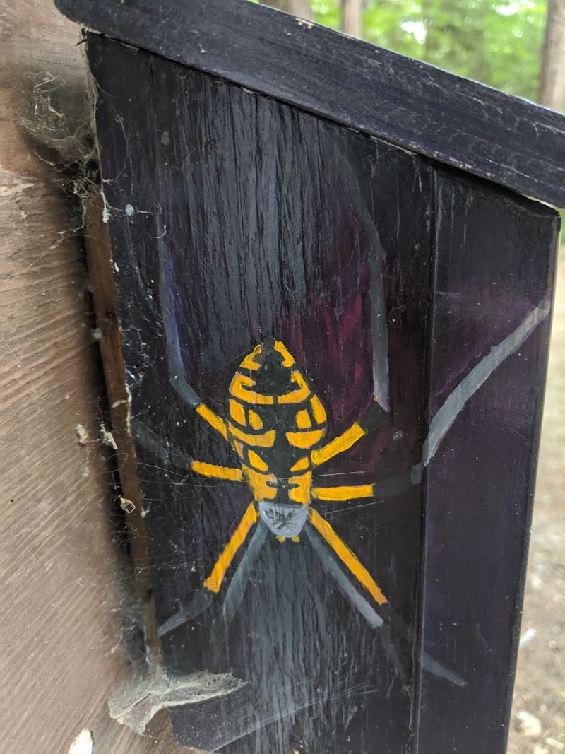 What to Know About Wildlife, Bugs, and Practical Realities What to Know About Wildlife, Bugs, and Practical Realities
