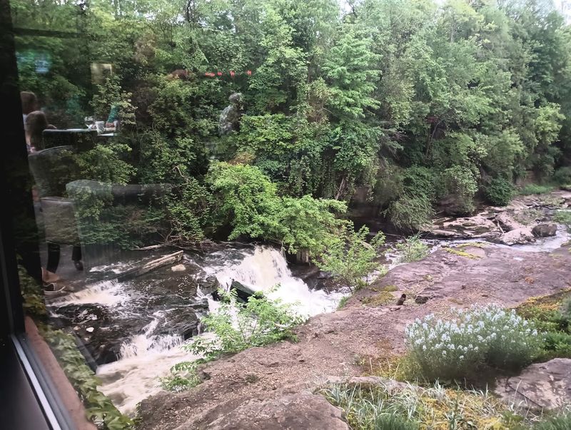What to Know About the Dam Removal Nearby