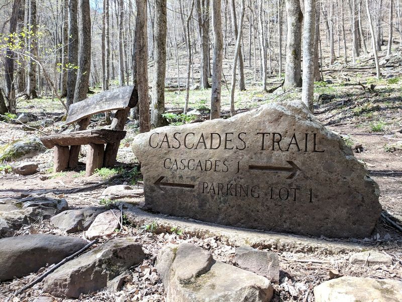 What to Pack Before You Hit the Trail What to Pack Before You Hit the Trail