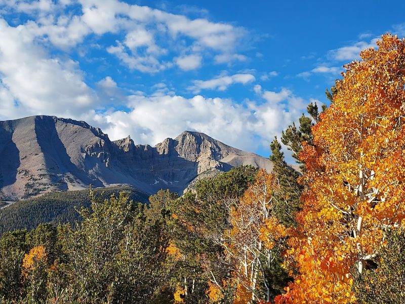 Wheeler Peak Scenic Drive