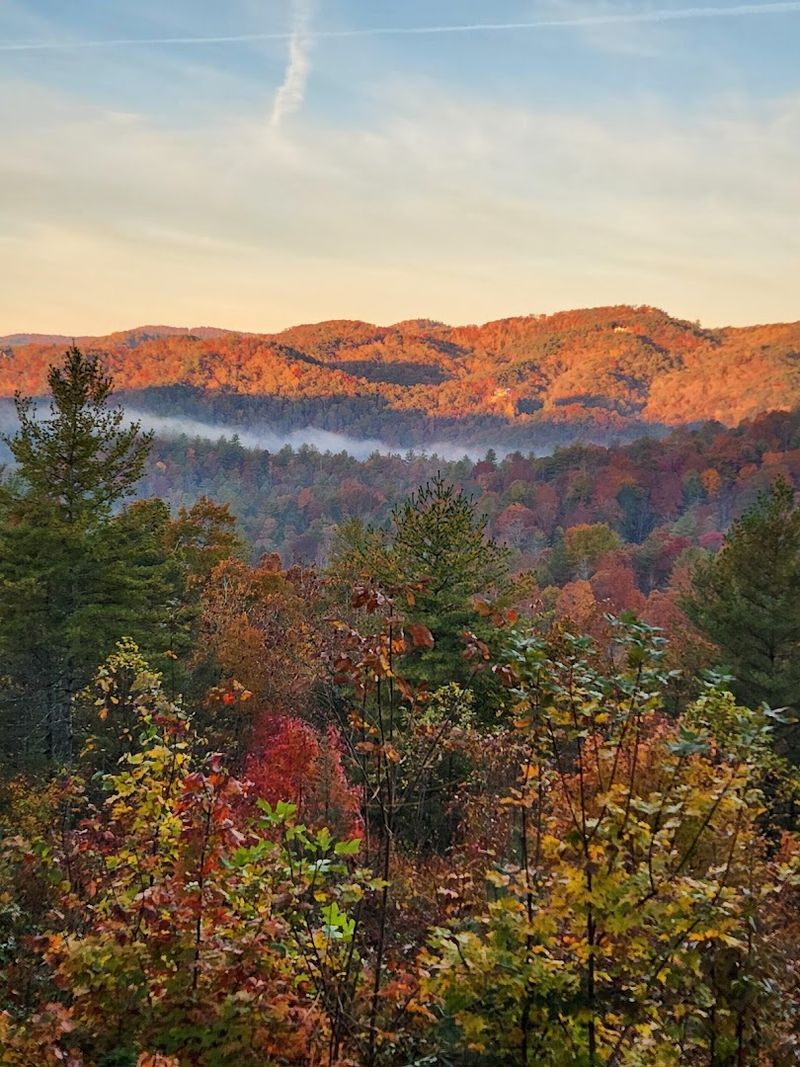 When to Visit and What to Expect Through the Seasons