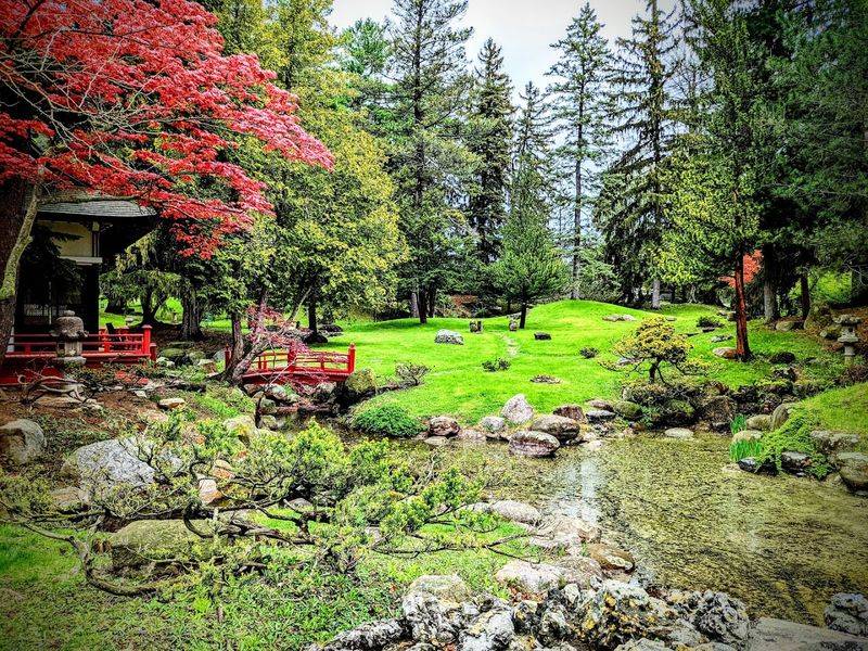 When to Visit for the Best Experience