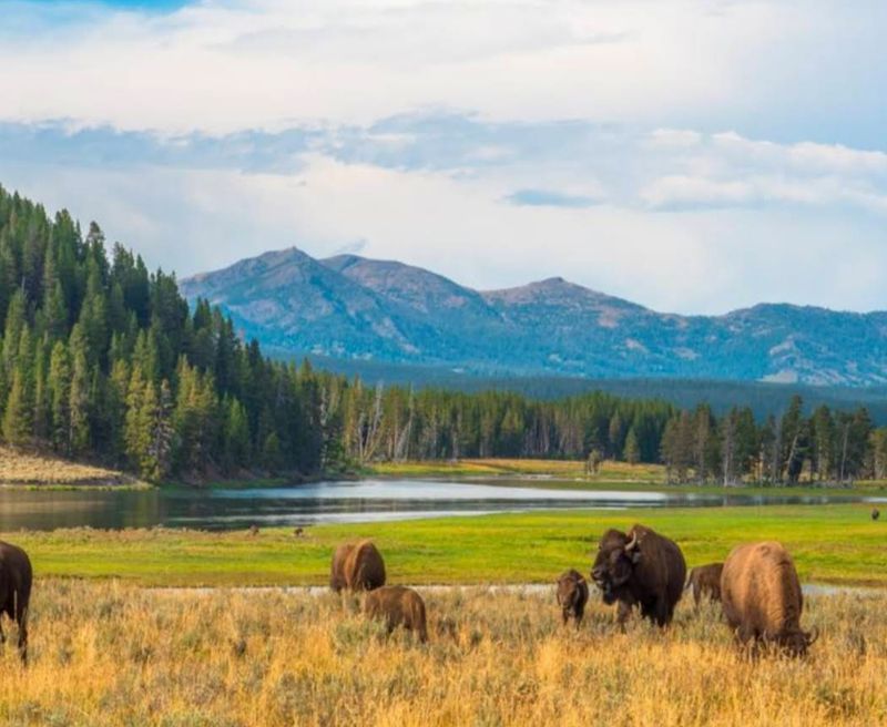 Where America's Wildest Wilderness Begins Where America's Wildest Wilderness Begins