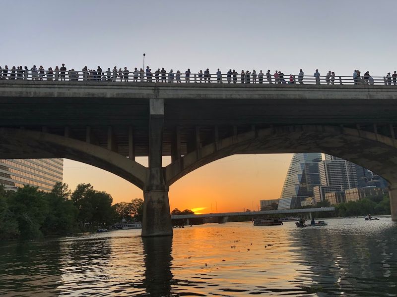 Where Austin Bat Tours Is Located and How to Find It Where Austin Bat Tours Is Located and How to Find It
