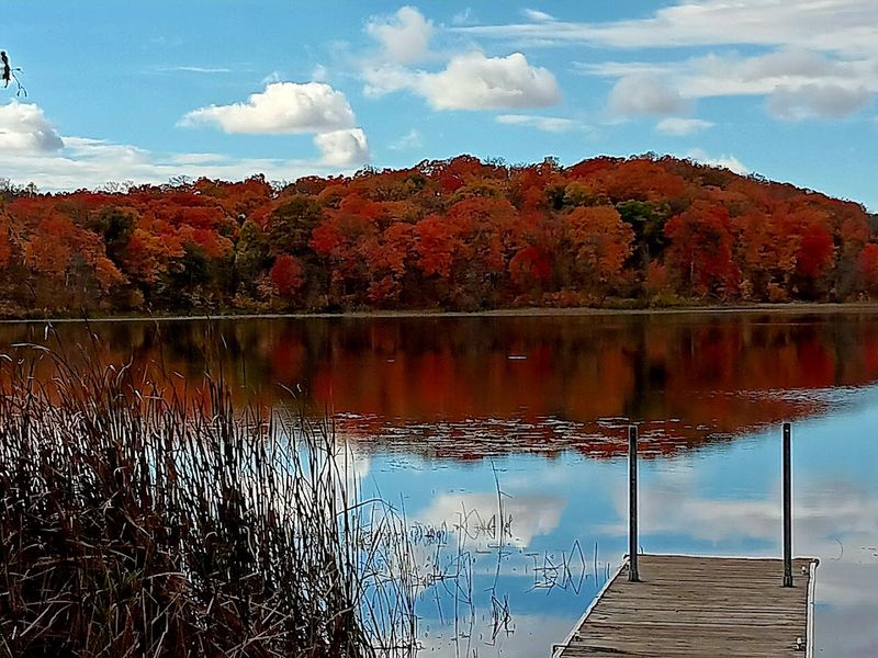 Where Autumn Goes to Show Off
