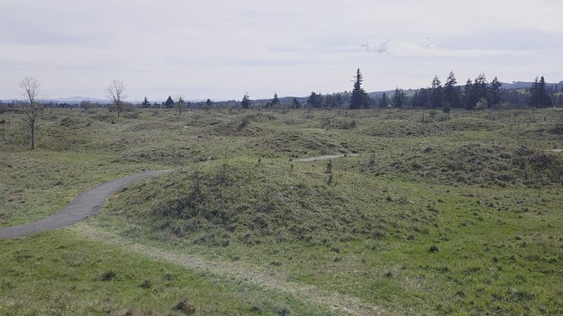 Where Exactly Does This Prairie Marvel Sits