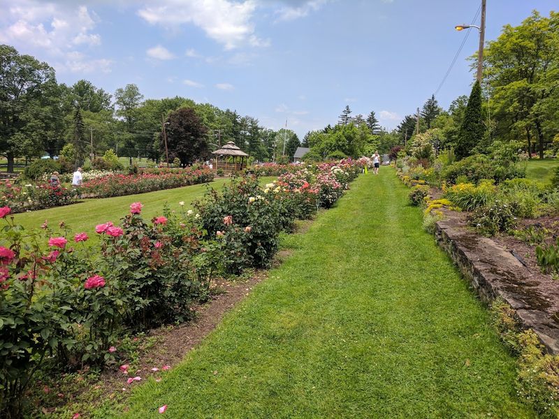 Where Exactly This Garden Lives and How to Find It