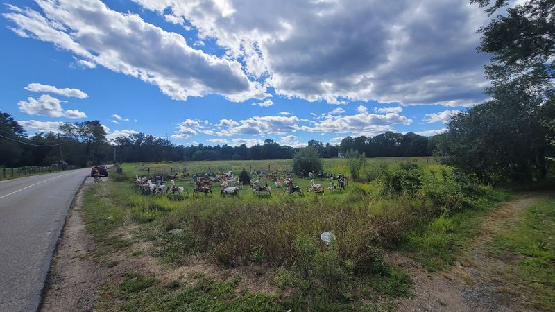 Where Exactly This Roadside Oddity Lives Where Exactly This Roadside Oddity Lives