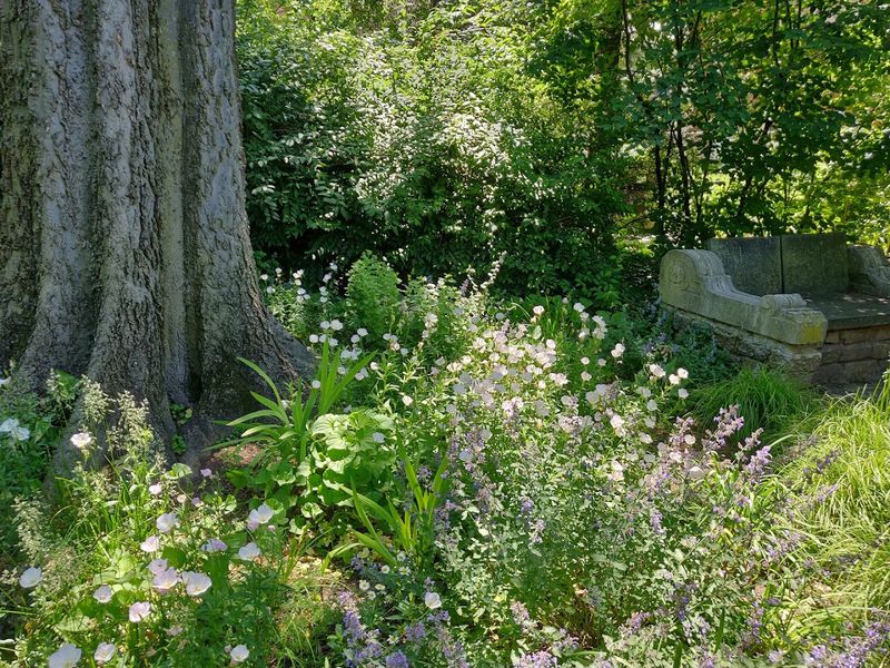 Where Exactly This Secret Garden Hides Where Exactly This Secret Garden Hides