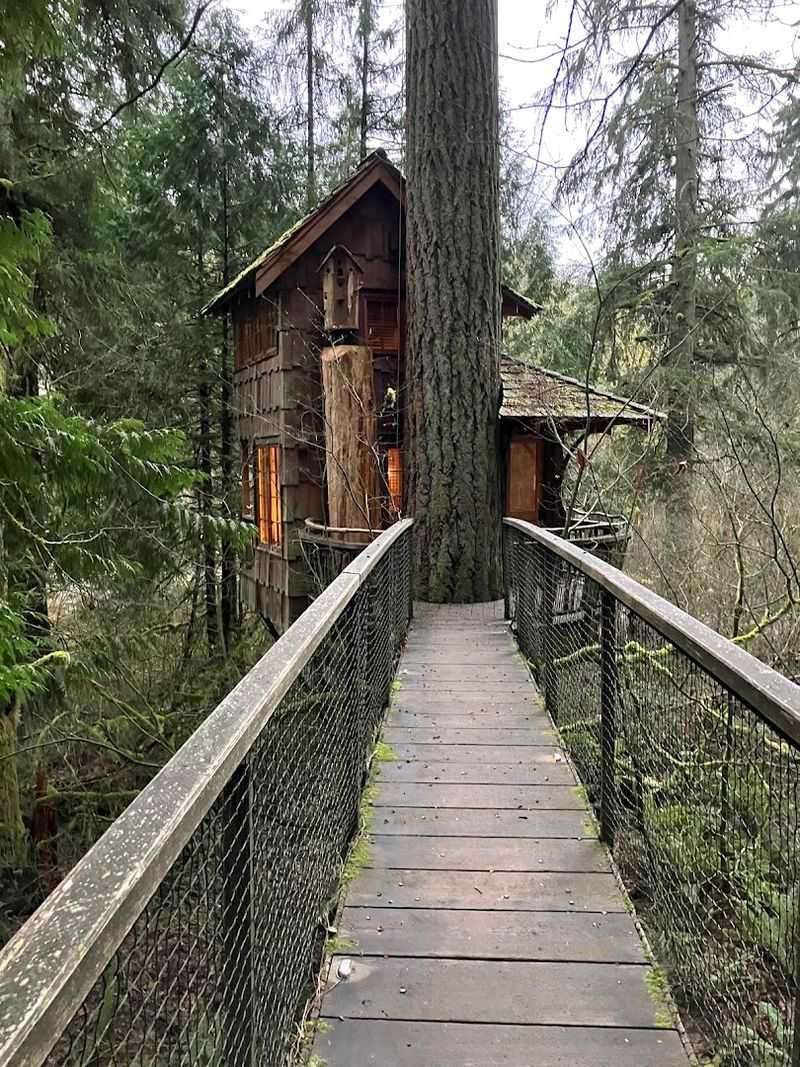 Where Exactly TreeHouse Point Is Located Where Exactly TreeHouse Point Is Located